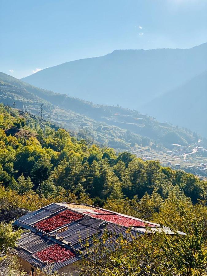 The Postcard Dewa, Thimphu, Bhutan Exterior foto